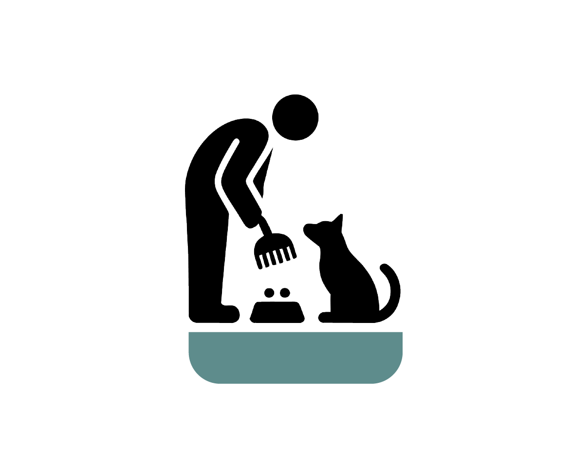 Human feeding their cat